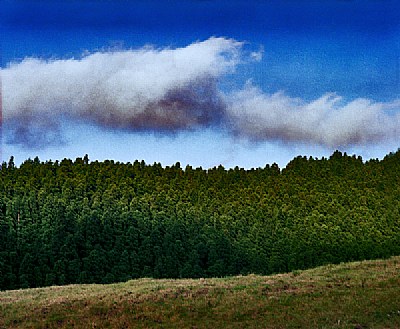 nature02mf