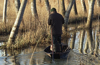 Un traghettatore di palude