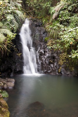 Fairy Falls