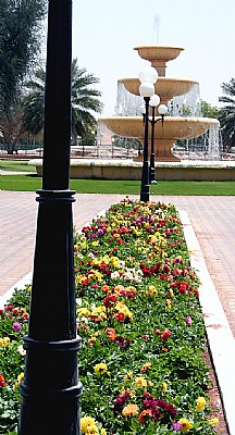 Flowers & Fountain
