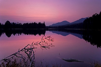 Sprague lake dawn