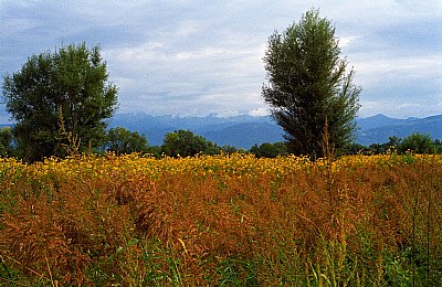 Autumn is near