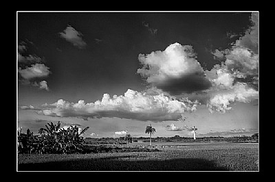 Clouds