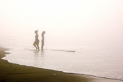 beach under fog