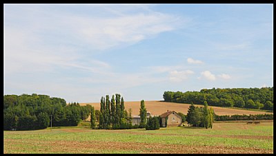 fields of burgundy