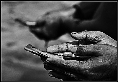 Praying Hands