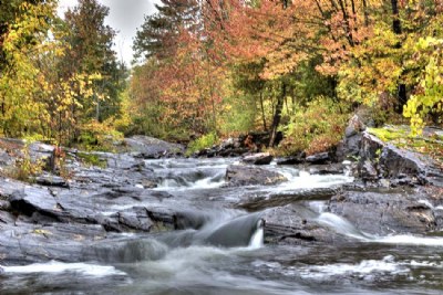 Fall Colours 3