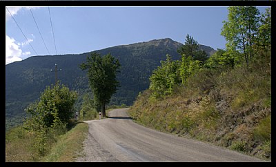 lines in landscape