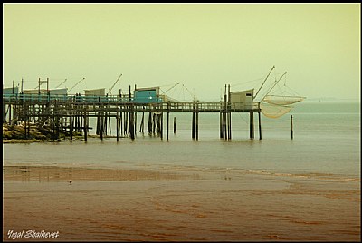 Talmont's nets