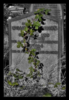 The grave