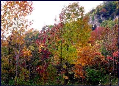 Autumn Rainbow