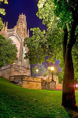 cathedral 2