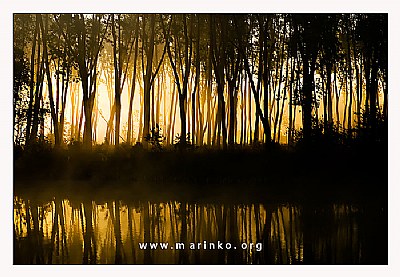 Baranja