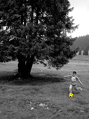 For him, the ball is yellow