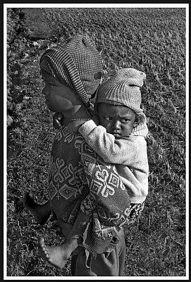 ELDER BROTHER