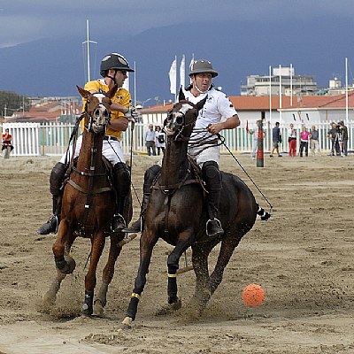 Polo, the sport of the kings