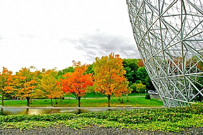 Montreal and them colors