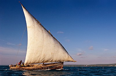 Sailing Dhow