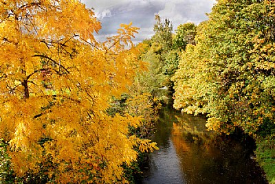 Golden Fall, Mill Creek