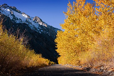 Fall in the Sierra