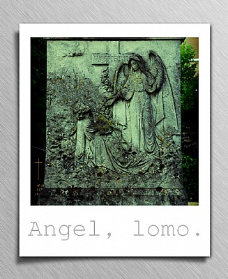 angel [lomo]