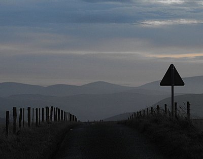 The Cheviots (1)