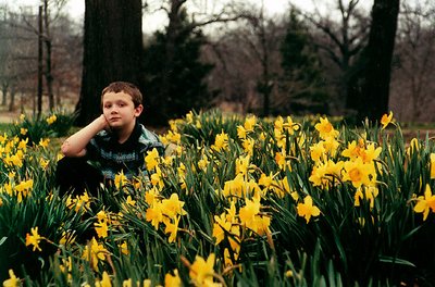 A day in the lillies