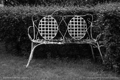 Old Bench in the Garden