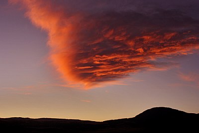 Morning over my head