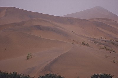 Mist in the Namib desert