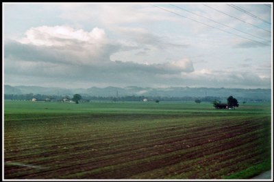 Farmland