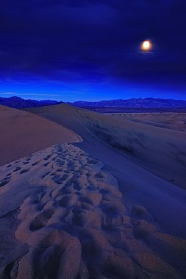 moonlit dunes