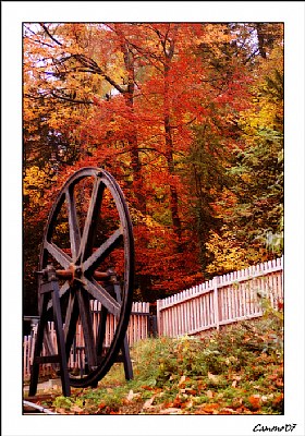 The Wheel and the Autumn