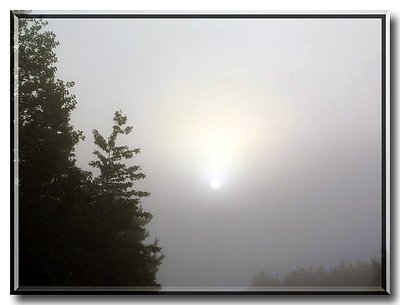 Sunrise Through the Fog...