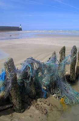 Net at low tide....