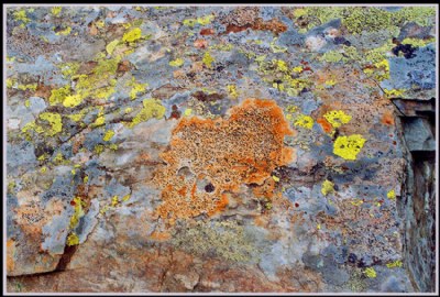 A palette on stone