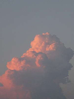 Cloud Face