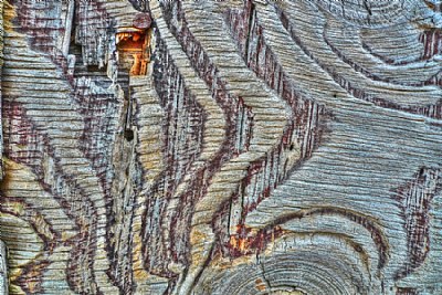 Eroded Wood