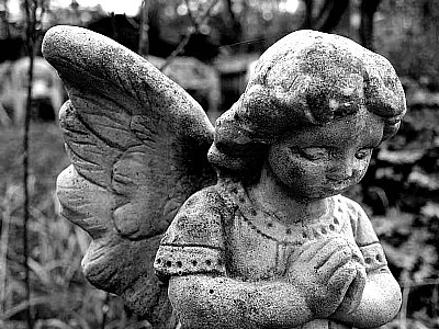 Life Angel