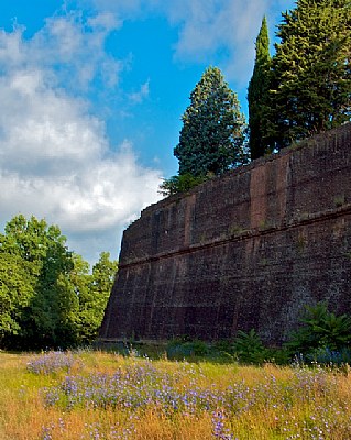 Medici fortress