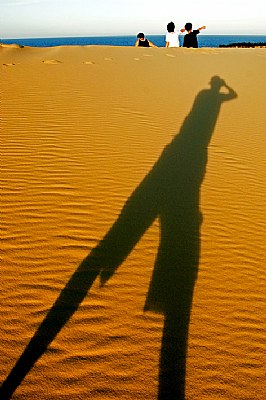 Under sunlight