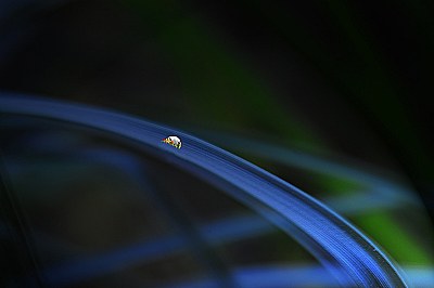 Lonely raindrop on a slide