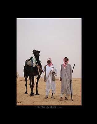 Camel Boys