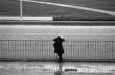 Horse racing, searching for the next winner...