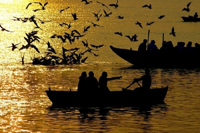 boats and birds