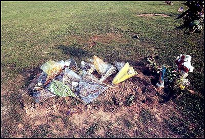 A color photo in tribute to WILLIAM CHRISTENBERRY