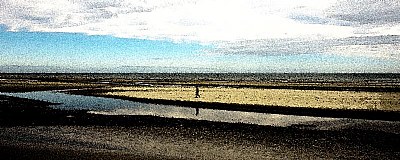 beach