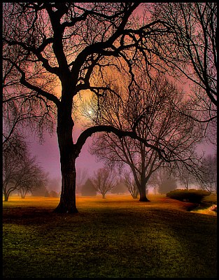 Clearing of The Mist