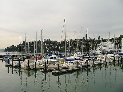 Tiburon Dock