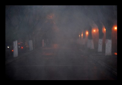 fog at dawn 1